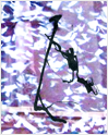 detail of previous, inkjet print on tyvek, 8 x 10”, 2009
