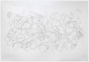 Untitled, graphite on paper, 52.5 x 76", 2007